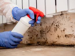 Best Air Quality Testing for Mold Spores  in Manitowoc, WI